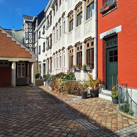 Apartment Duplex Historique Au Coeur De *